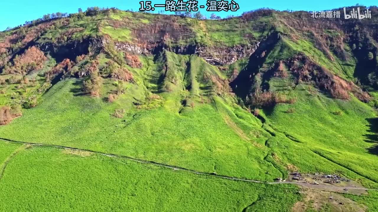 15.一路生花 - 温奕心