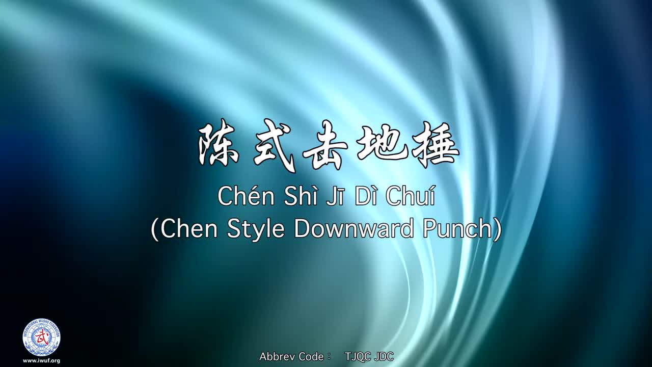 29.陈式击地捶