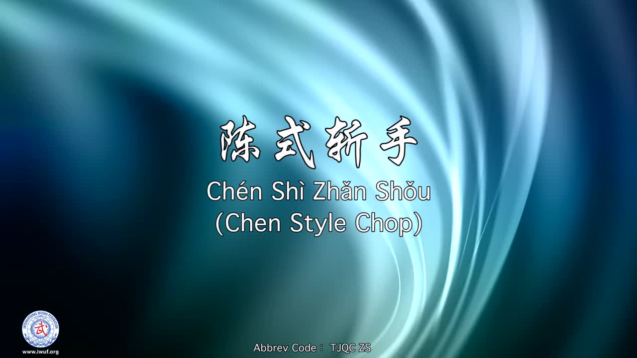 48.陈式斩手