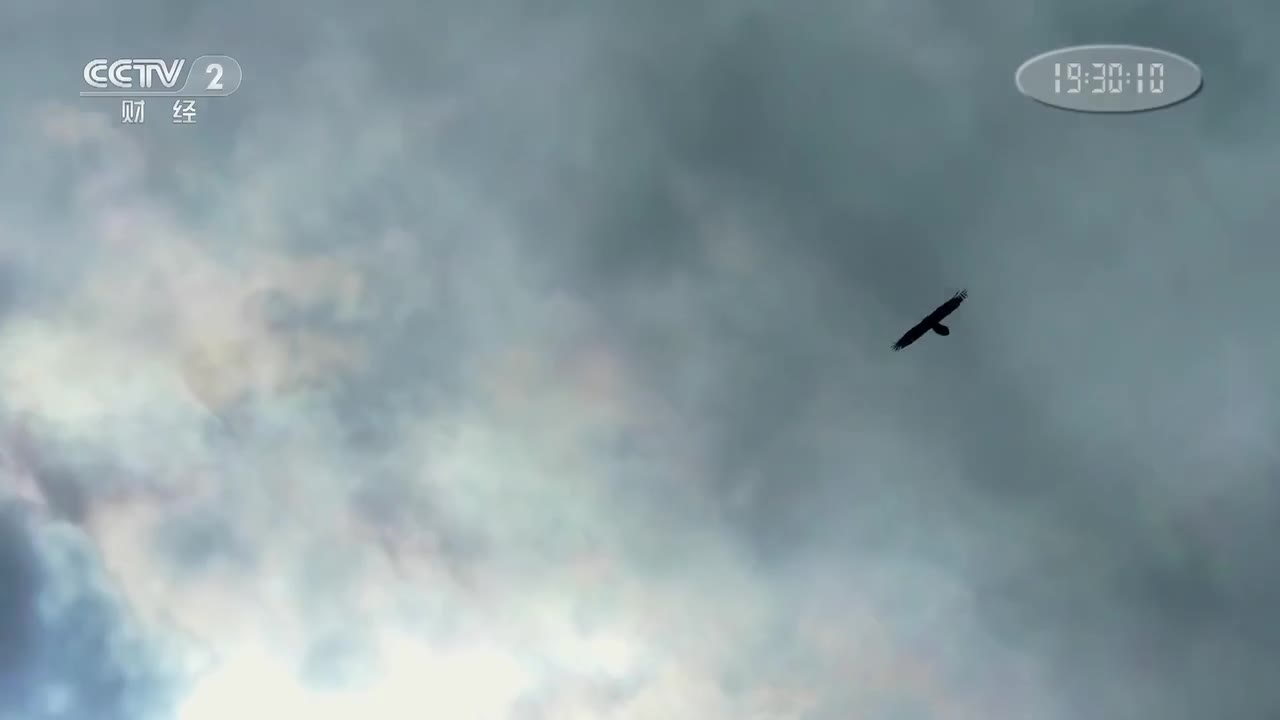 第五集 律动和合