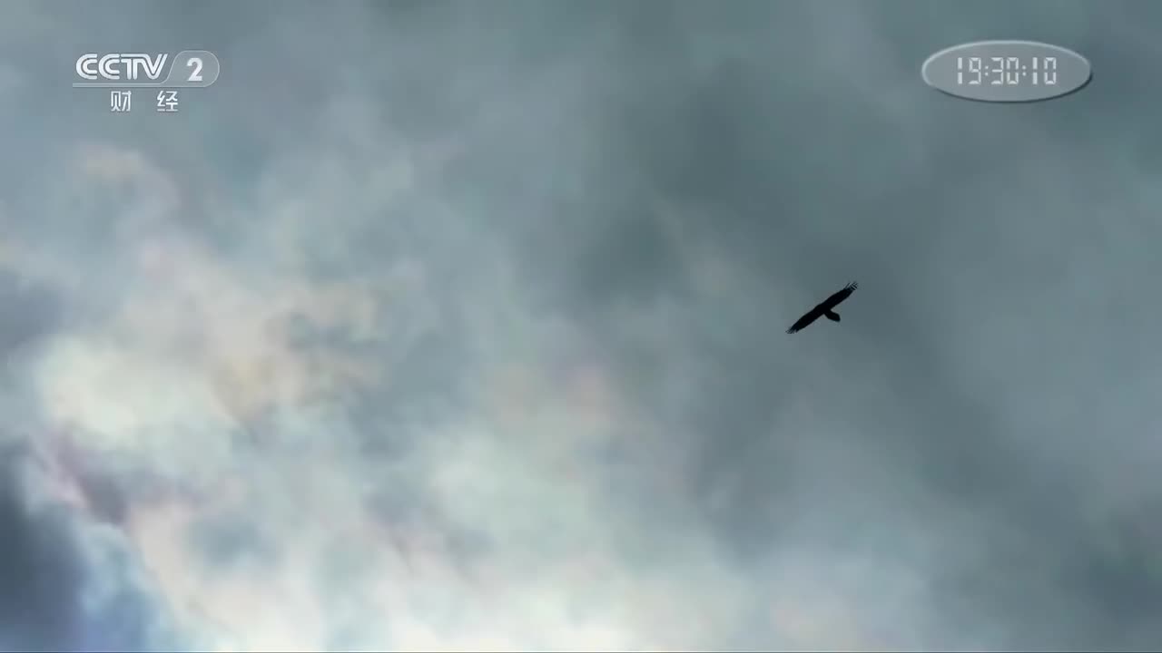 第二集 栋梁之材