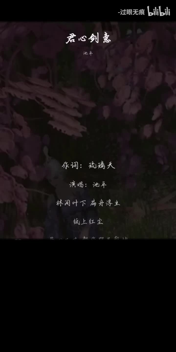 55.君心剑意-池年