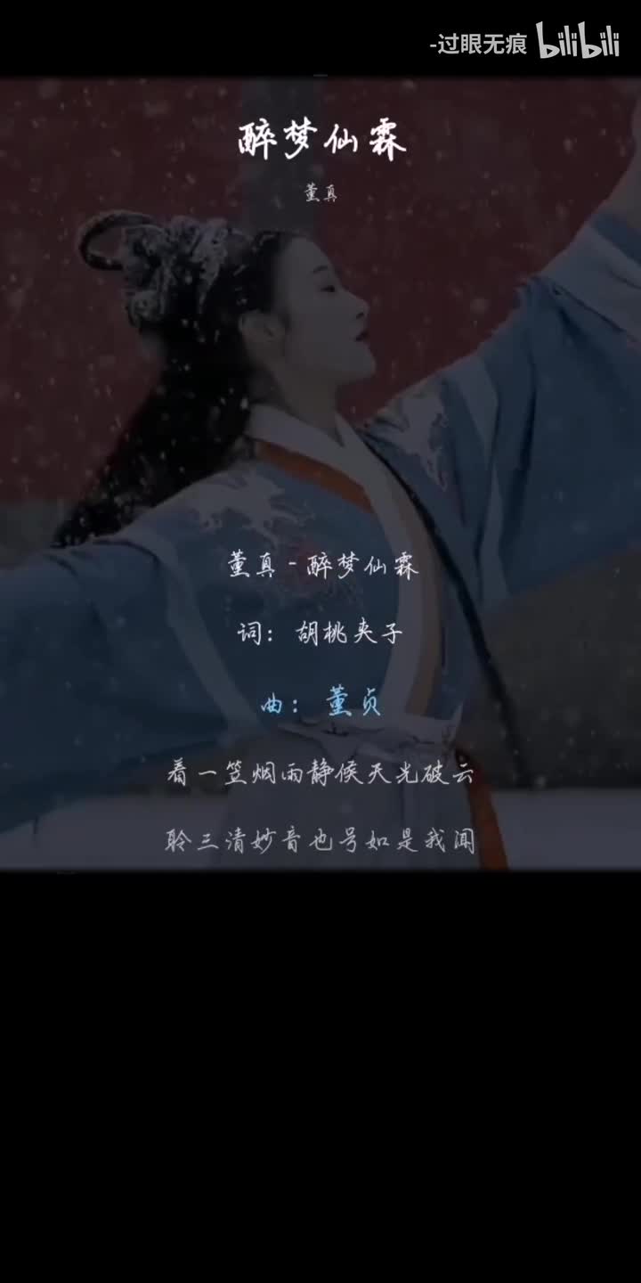 94.醉梦仙霖-董真