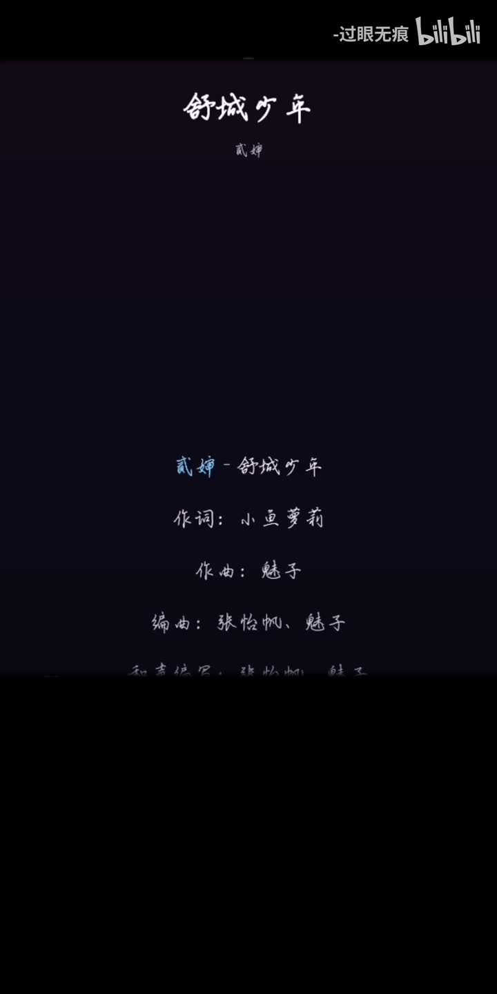 98.舒城少年-贰婶