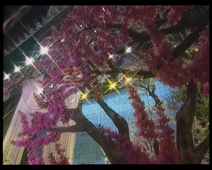 《望江亭》选段（王蓉蓉）