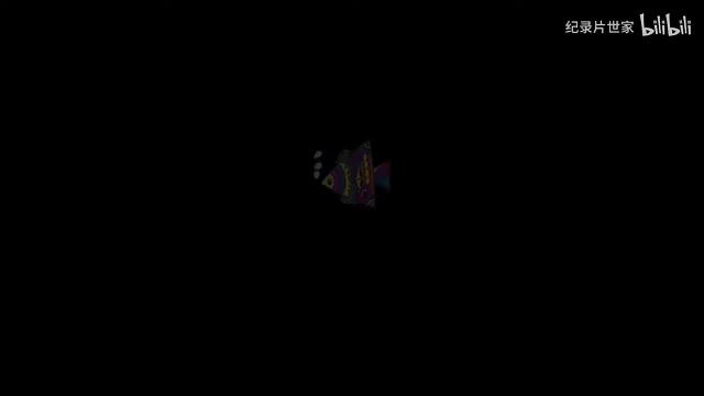 【幼升小英语1-18】字母Qq,Rr 拼写与认读教学（上） 0-4岁儿童英文启蒙 英语自然拼读入门基础