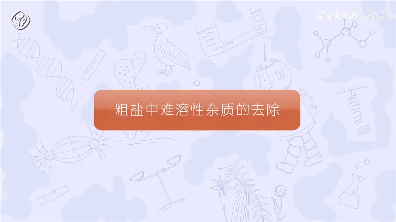 【第十一单元】粗盐提纯