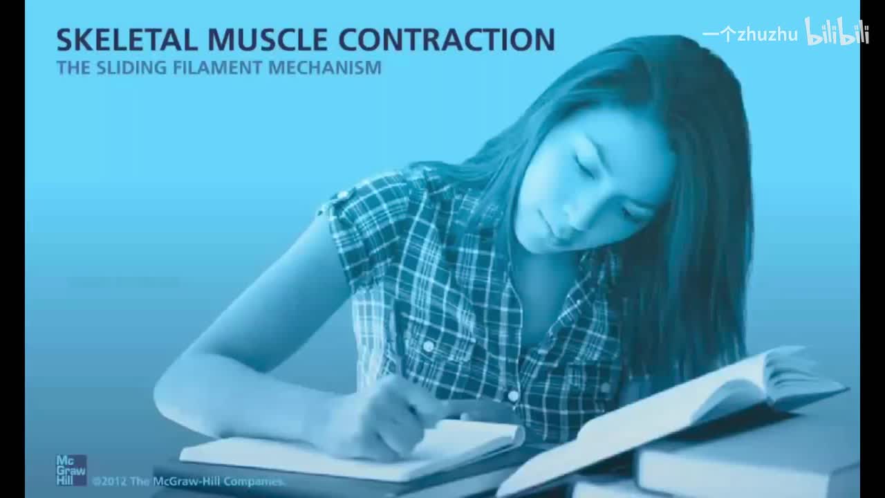 肌肉收缩 无背景音乐