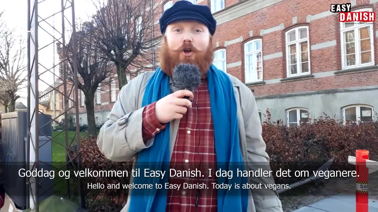 Veganism in Denmark _ Easy Danish 14