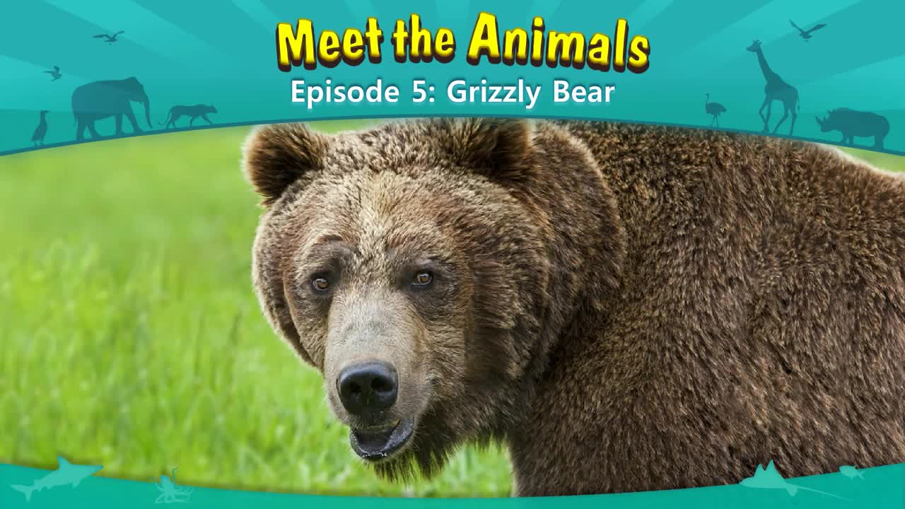 lv02-005_Meet the Animals 5_Grizzly Bear