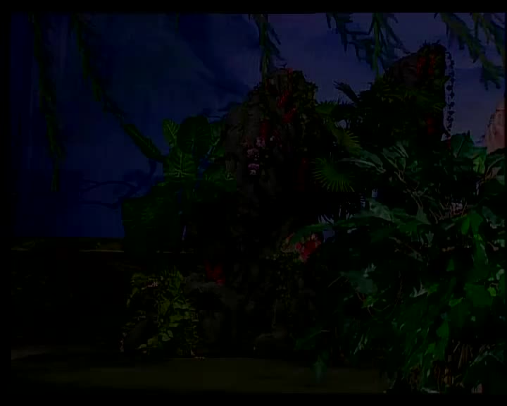 梁耀安+李池湘-玉葵宝扇