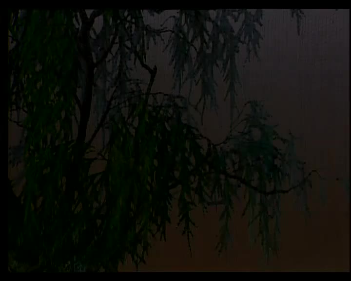 彭炽权+曾慧-镜阁斜阳