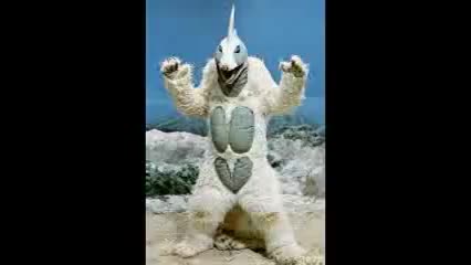 Snowgon Roar - YouTube