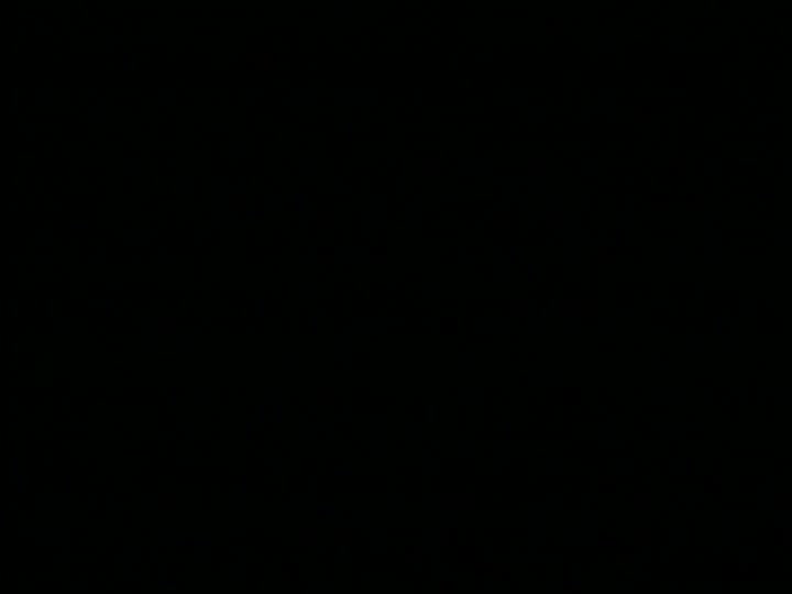 S14 There Was an Old Lady Who Swallowed a Fly