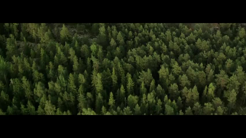 华为 Ascend Mate 7 广告