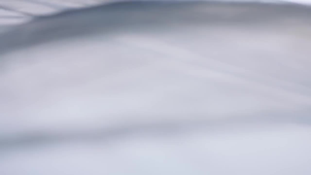 PROJECT 7 Back To Nature Teaser