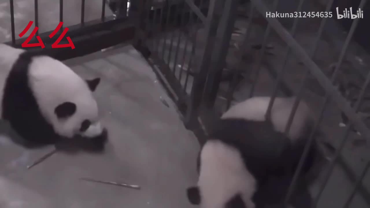 么么帮助其他团子越狱