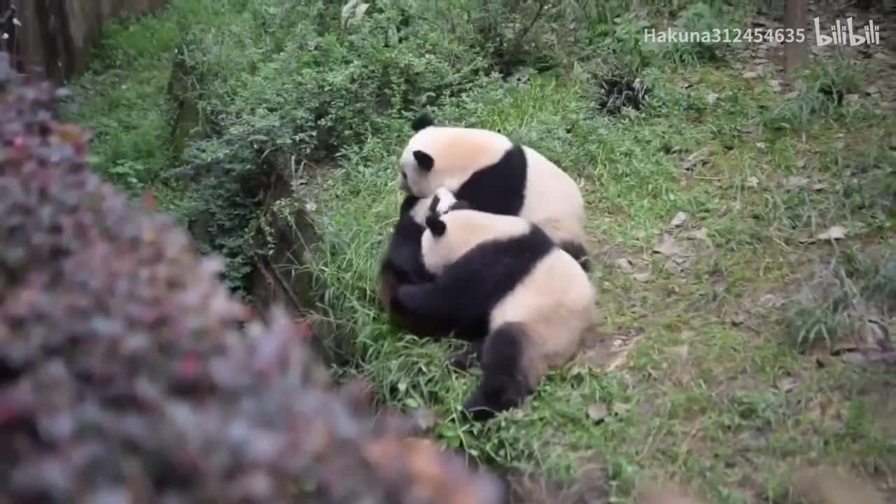 战五渣么么，日常被推下水沟