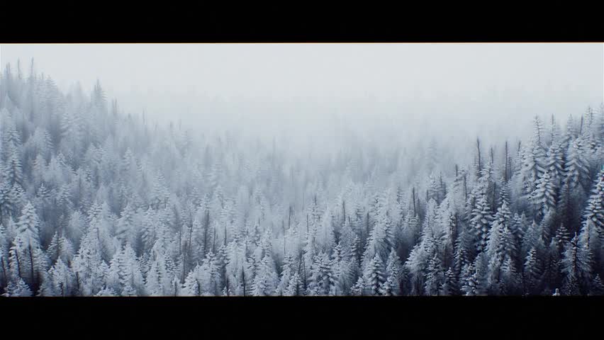 OPPO Find X 广告（2）