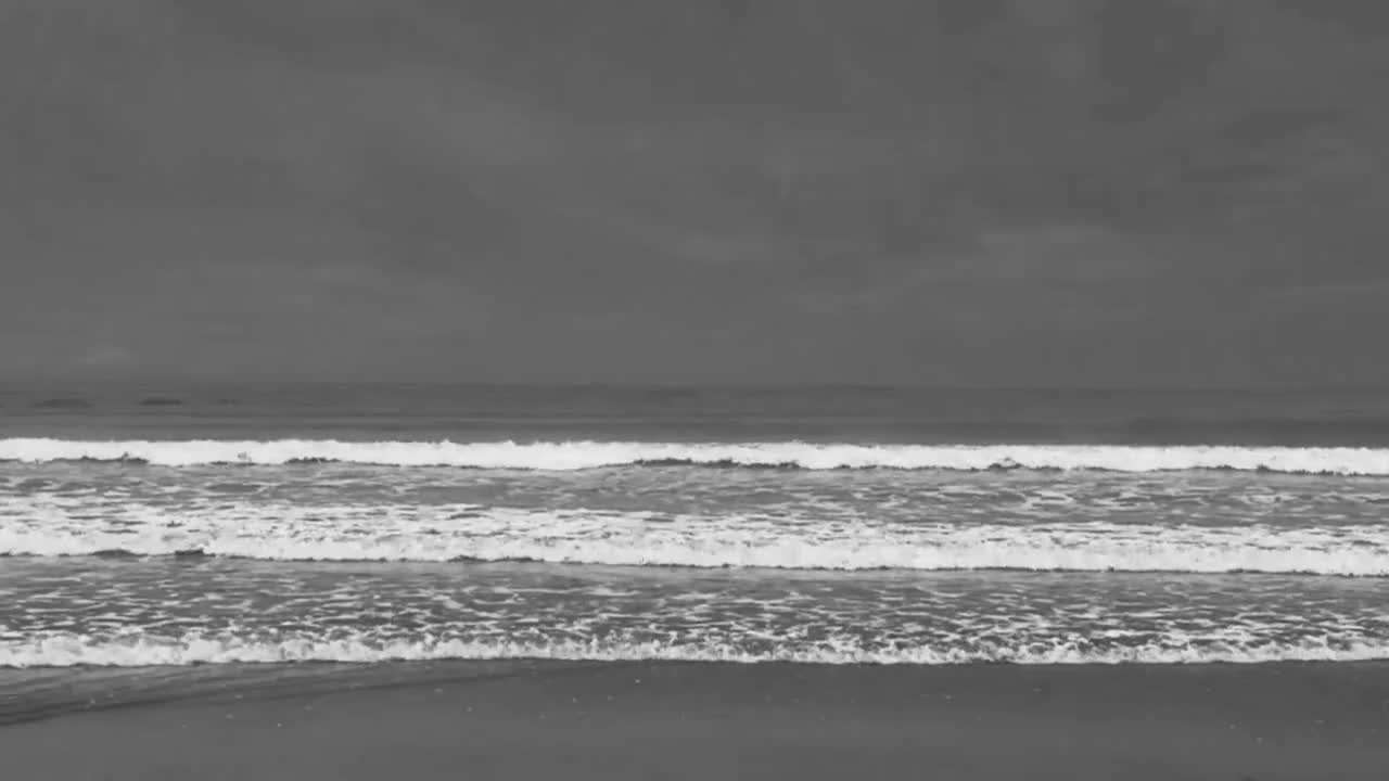 第1集 华南之洋（本集导演/撰稿：周兵 曾欣）