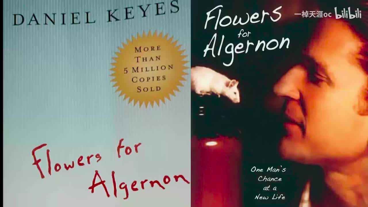 9月27日-10月21日