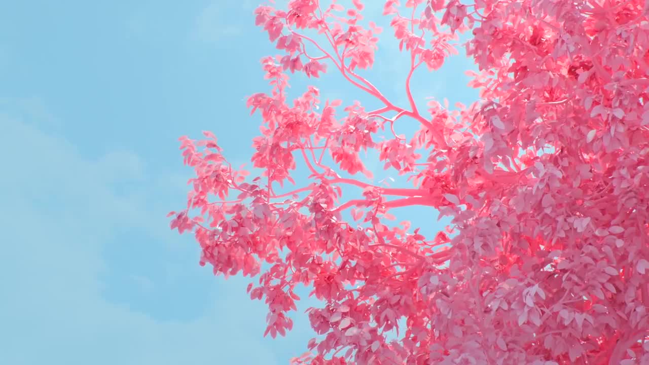 红米 5 系列广告