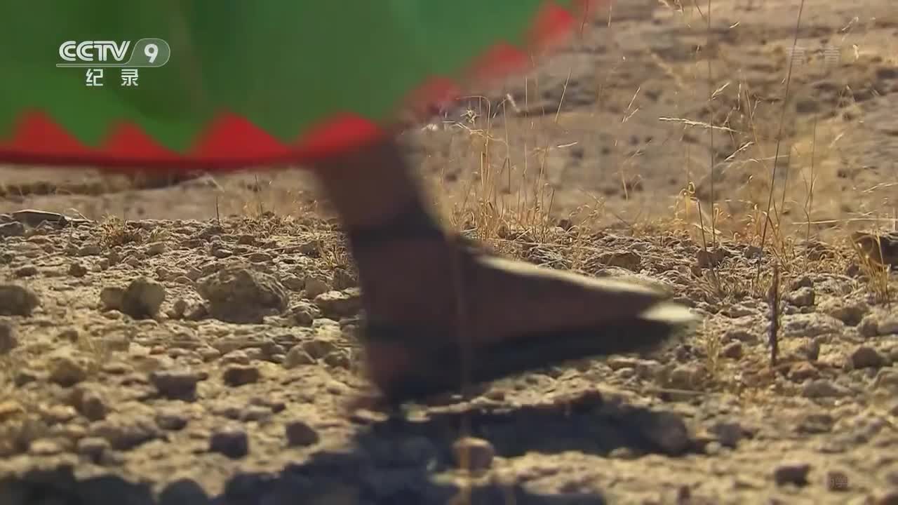 翻山涉水上学路 第二季 03集 蒙古国