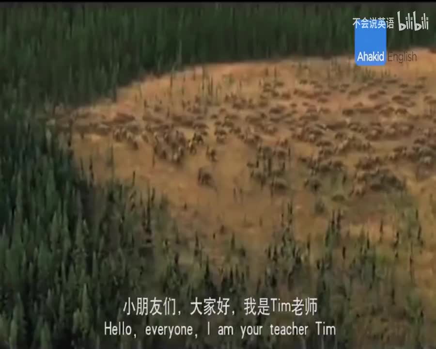 2探索恐龙世界（上）