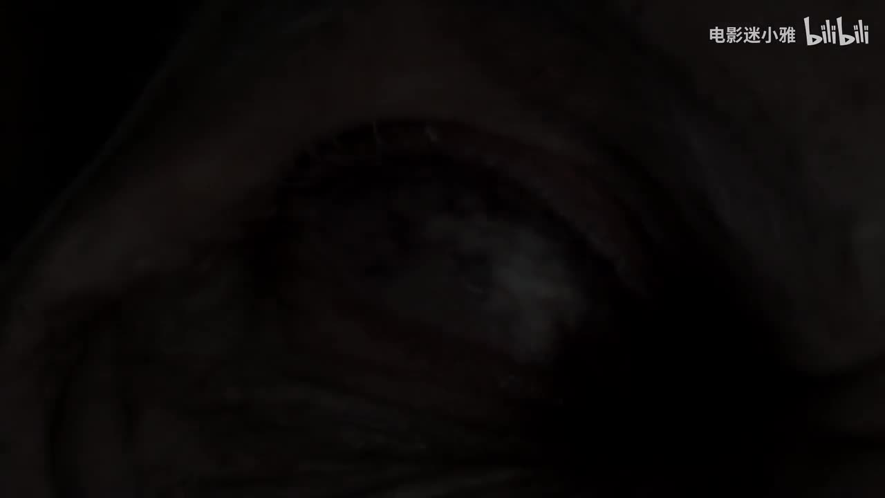 行尸走肉第三季