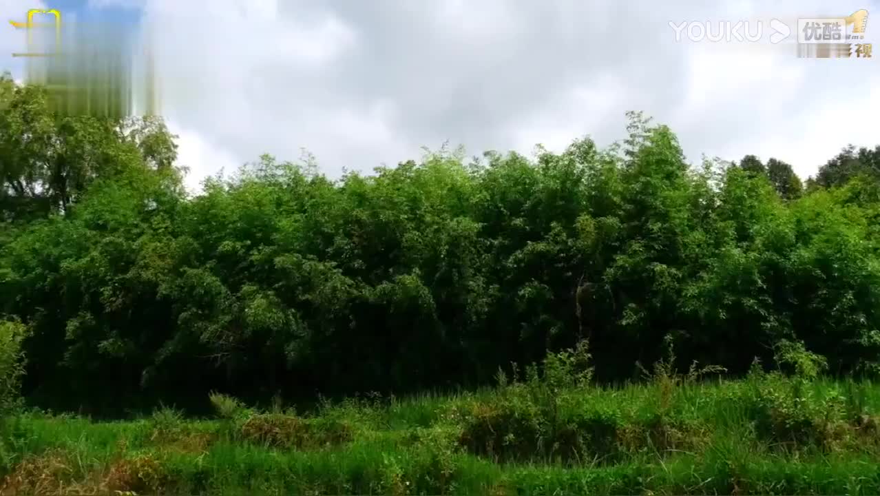 43.《家仇与爱情》第一部