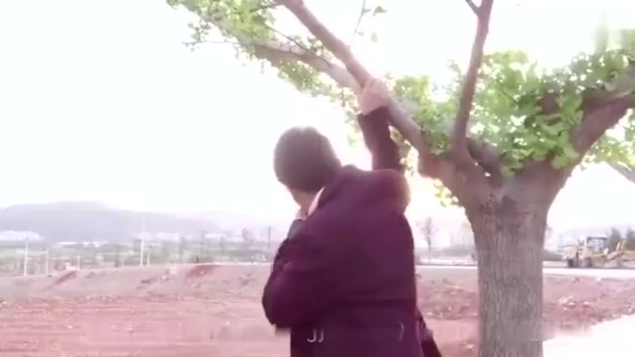 29.《感动人生》第五部