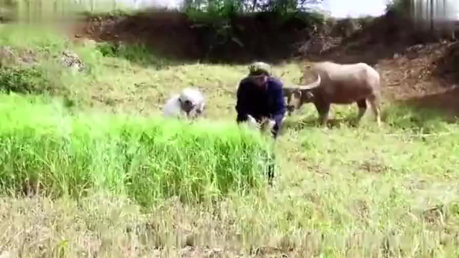 26.《感动人生》第二部