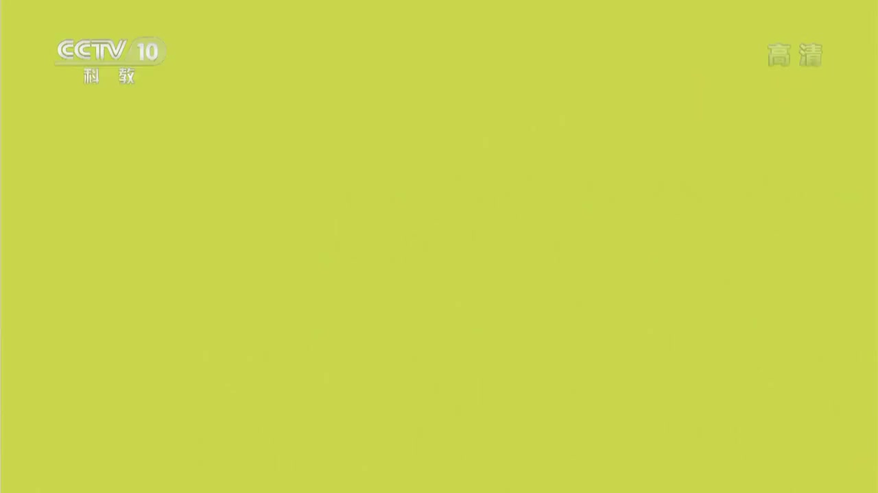 单挑荒野-菲律宾