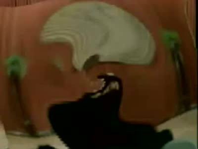 《铃铛谱》于宝林、冯宝华