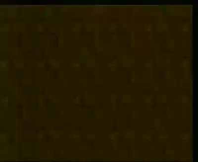 《揭瓦》魏文亮、张永久