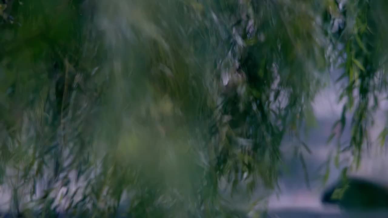 【哎哟,不错哦】天涯过客 4K