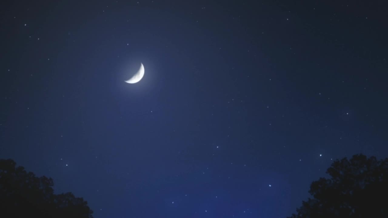 唯美 哭 玫瑰 月亮