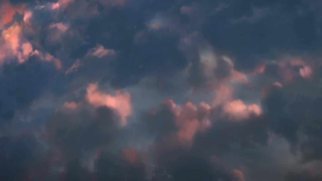 跳伞 薇尔莉特 打斗 闪避左右跑