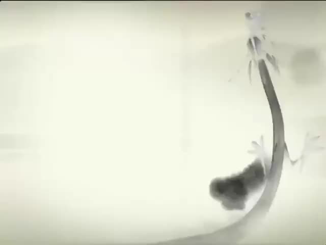 9 The Chinese compass and explorer Zheng He