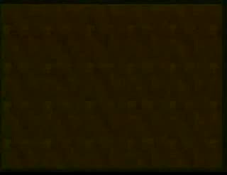 《戏迷游街》魏文亮、张永久