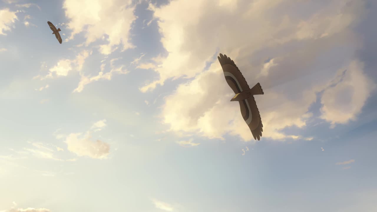 113#场景：天空、飞鸟[00.49.33-00.49.36]