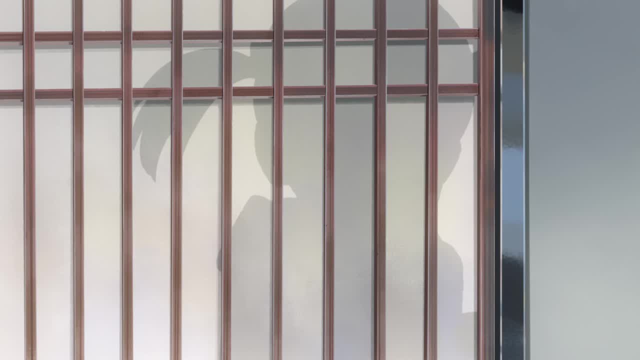 124#四叶开门、四叶表情特写[01.04.01-01.04.06]