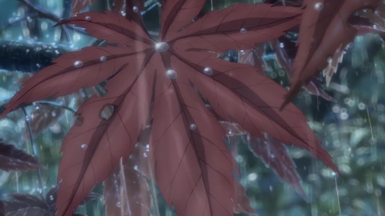 120#暴雨中枫叶特写[00.58.20-00.58.23]
