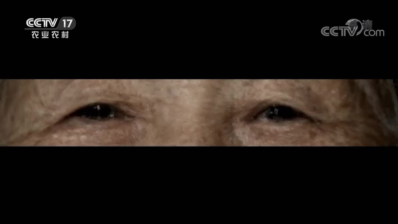 第5集 山河故人