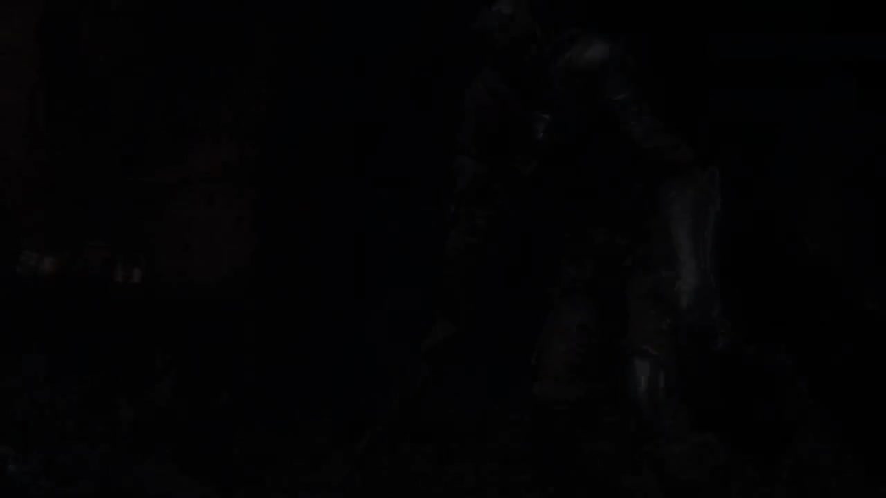 分享狼血的法兰不死队