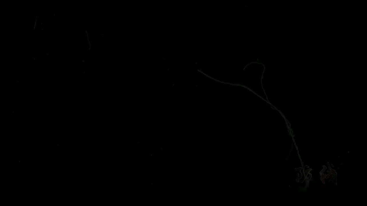 08-坍塌事故篇-坍塌的支模架