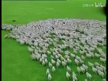 39.恒源祥老广告