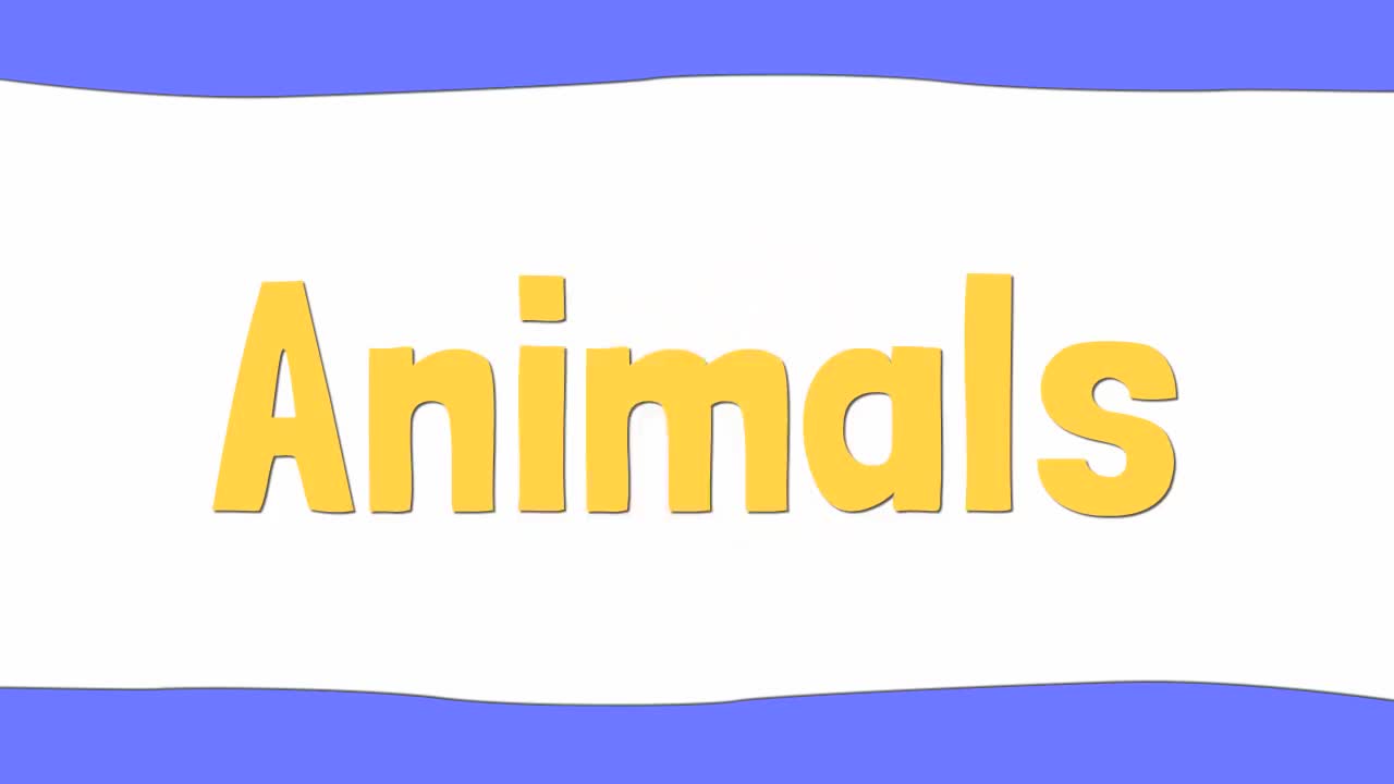 【1】Animals _ Vocabulary _ 24 Words