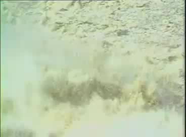 曲剧《三子争父续集》全剧[上]刘典章、郭凤娥、刘爱云主演。