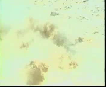 豫剧 整本 拷红 常香玉